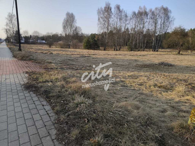 Działka Sprzedaż Cybinka 5